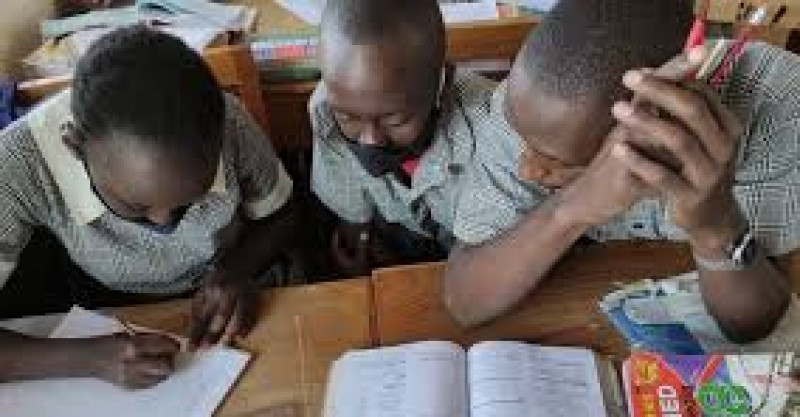 Miniatura artykułu: 4533