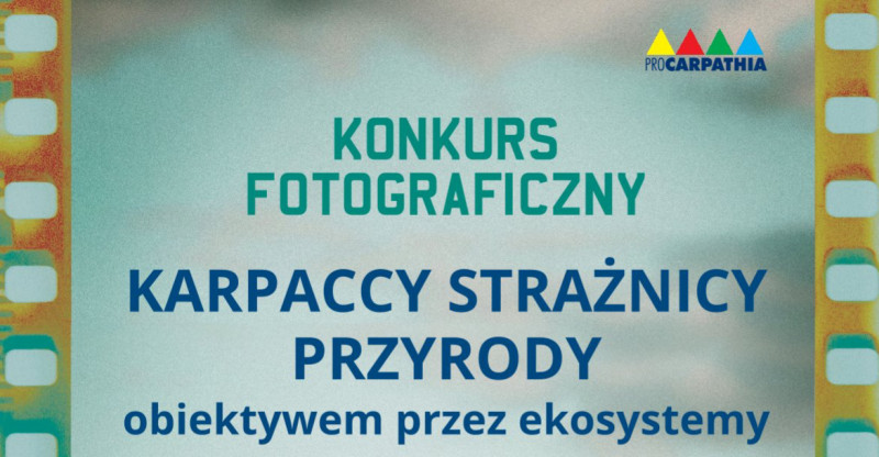 Miniatura artykułu: 5336